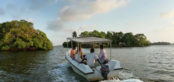 Madu Ganga river safari through mangroves